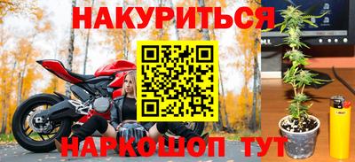 прущие грибы Канаш