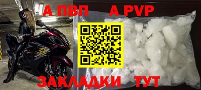 прущие грибы Канаш