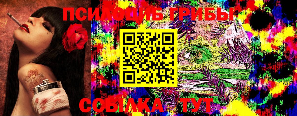 Галлюциногенные грибы Psilocybine cubensis Кызыл