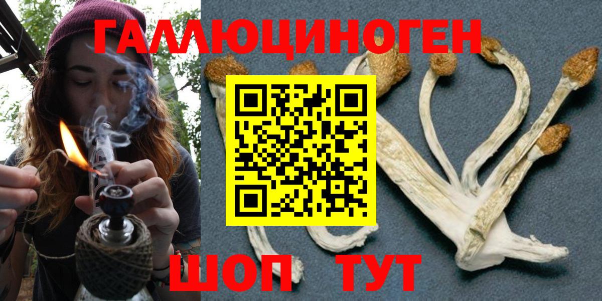 Галлюциногенные грибы Psilocybe  Вход с VPN  Кызыл 
